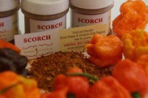 Scorch